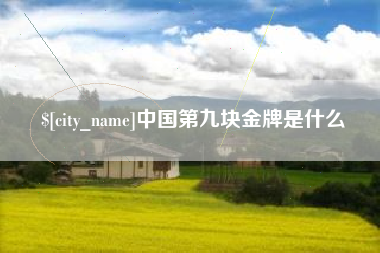 抚州中国第九块金牌是什么