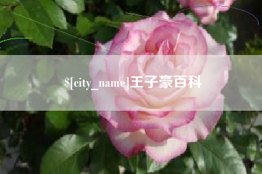 抚州王子豪百科