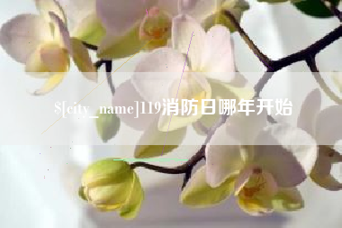 抚州119消防日哪年开始