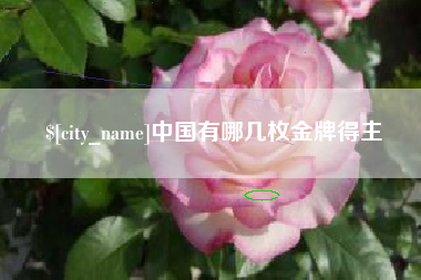 抚州中国有哪几枚金牌得主