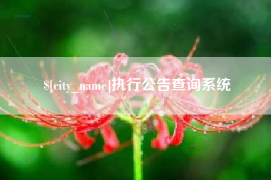抚州执行公告查询系统