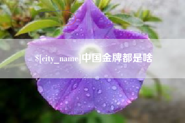 抚州中国金牌都是啥