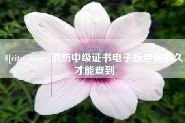 抚州消防中级证书电子版查询多久才能查到