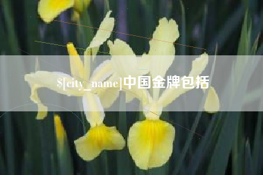 抚州中国金牌包括
