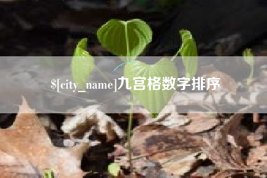 抚州九宫格数字排序