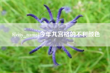 抚州今年九宫格的不利颜色