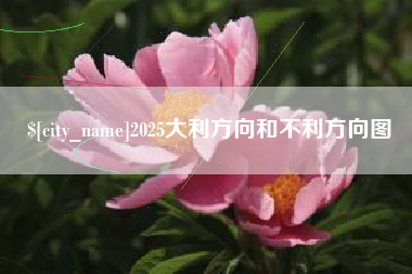 抚州2025大利方向和不利方向图