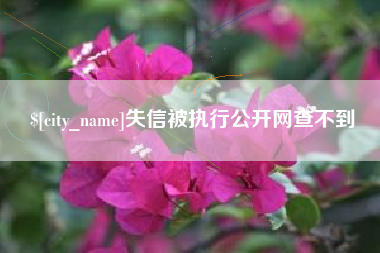 抚州失信被执行公开网查不到