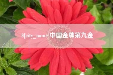 抚州中国金牌第九金