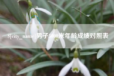 抚州男子5000米年龄成绩对照表