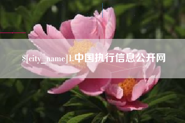 抚州1.中国执行信息公开网