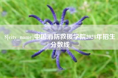 抚州中国消防救援学院2024年招生分数线