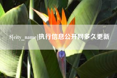 抚州执行信息公开网多久更新