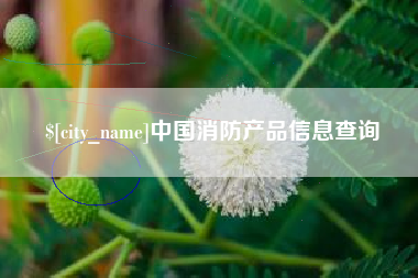 抚州中国消防产品信息查询