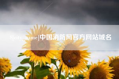 抚州中国消防网官方网站域名