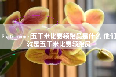抚州五千米比赛领跑员是什么-他们就是五千米比赛领跑员