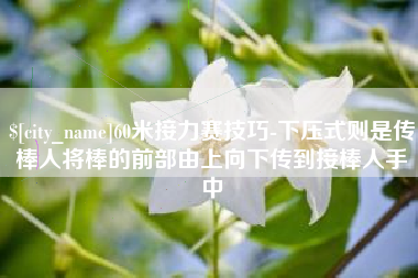 抚州60米接力赛技巧-下压式则是传棒人将棒的前部由上向下传到接棒人手中