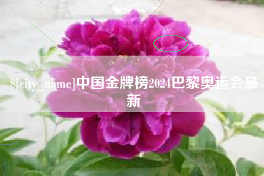 抚州中国金牌榜2024巴黎奥运会最新