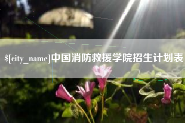 抚州中国消防救援学院招生计划表