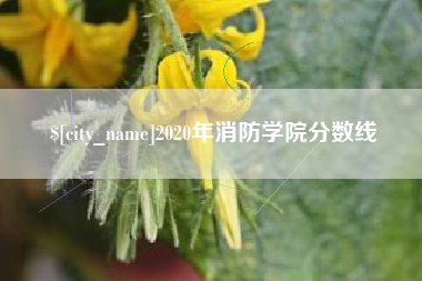 抚州2020年消防学院分数线