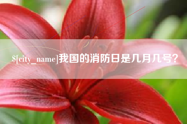 抚州我国的消防日是几月几号？