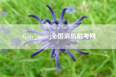 抚州全国消防招考网