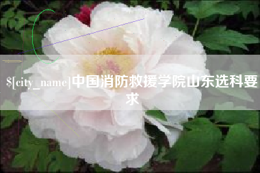 抚州中国消防救援学院山东选科要求