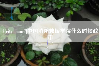 抚州中国消防救援学院什么时候政审