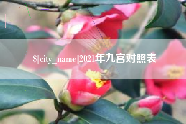 抚州2021年九宫对照表