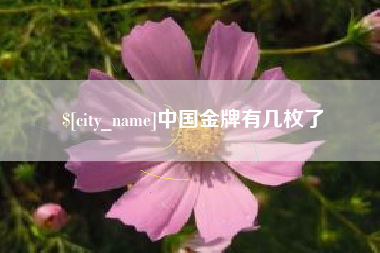 抚州中国金牌有几枚了