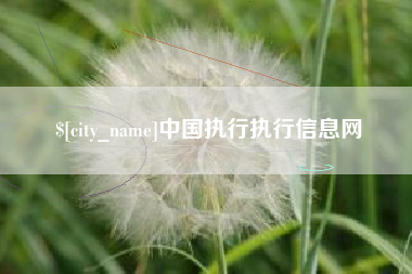 抚州中国执行执行信息网