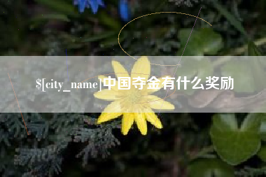 抚州中国夺金有什么奖励