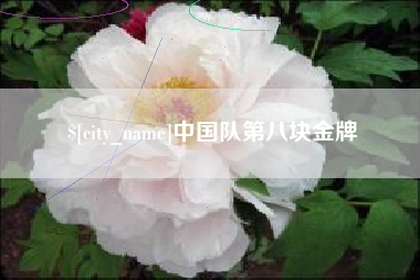 抚州中国队第八块金牌