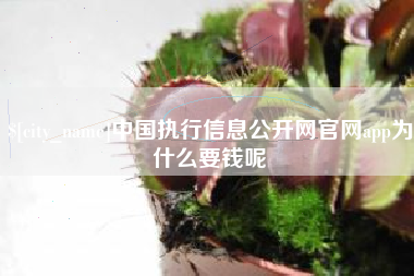 抚州中国执行信息公开网官网app为什么要钱呢