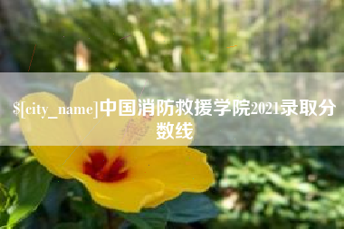 抚州中国消防救援学院2021录取分数线