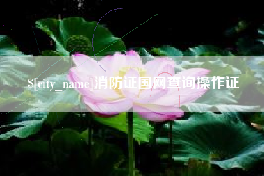 抚州消防证国网查询操作证