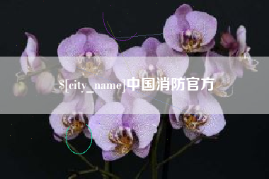 抚州中国消防官方