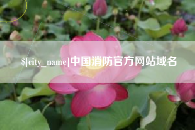 抚州中国消防官方网站域名