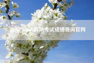 抚州消防考试成绩查询官网