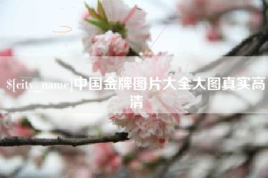 抚州中国金牌图片大全大图真实高清