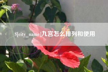 抚州九宫怎么排列和使用