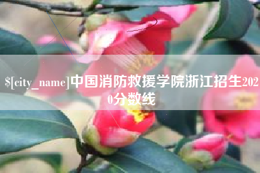 抚州中国消防救援学院浙江招生2020分数线