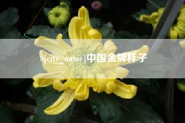 抚州中国金牌样子