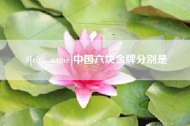 抚州中国六块金牌分别是