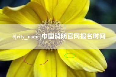 抚州中国消防官网报名时间