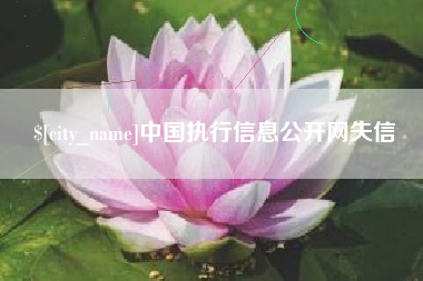 抚州中国执行信息公开网失信