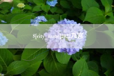 抚州2022九宫