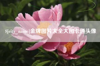 抚州金牌图片大全大图卡通头像