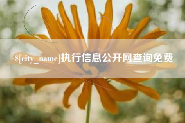 抚州执行信息公开网查询免费